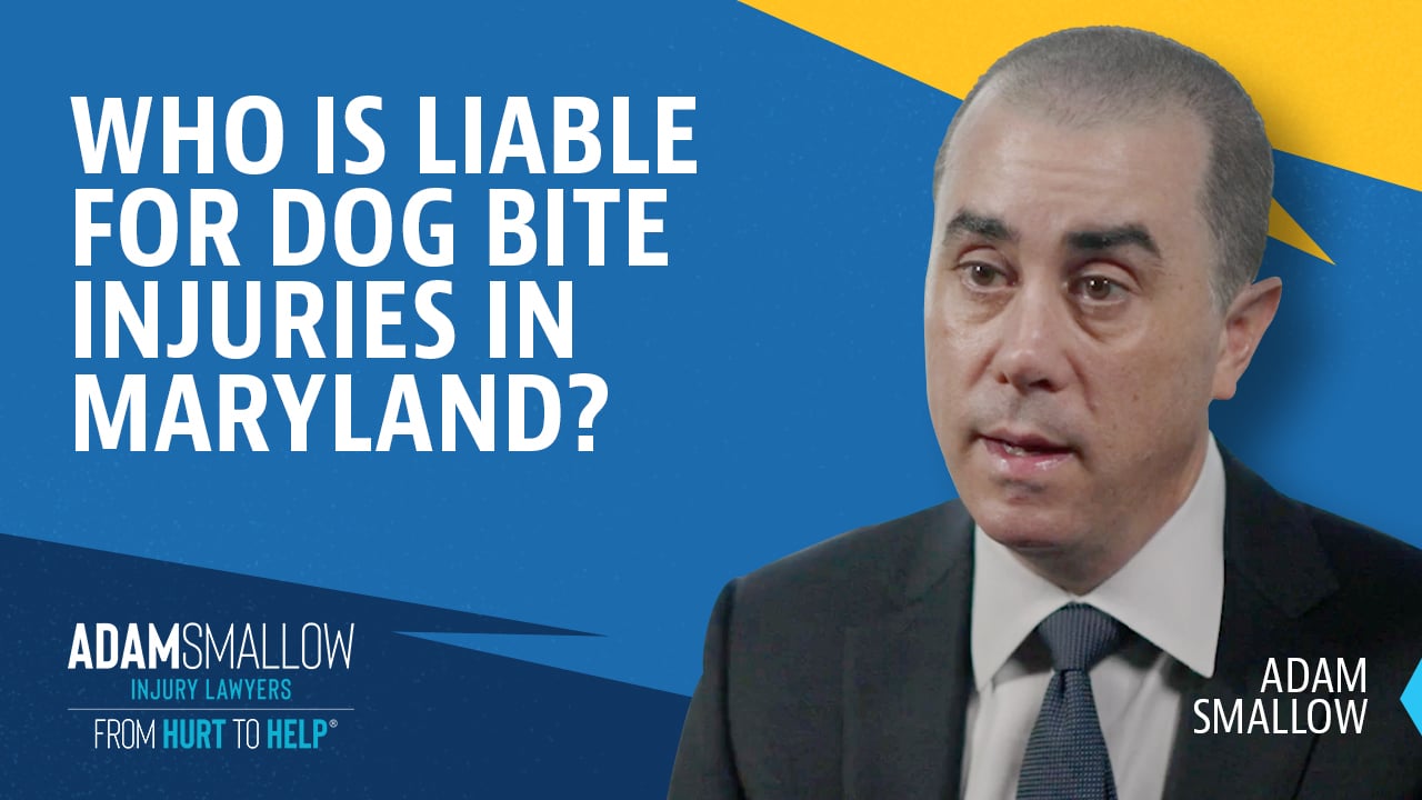 WHO IS LIABLE FOR DOG BITE INJURIES video thumbnail